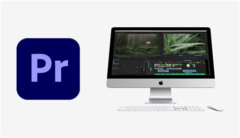 adobe premiere pro buy lifetime.